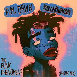 Album cover of The Funk Phenomena (Phonk Mix)