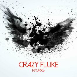 Album cover of Crazy Fluke Works
