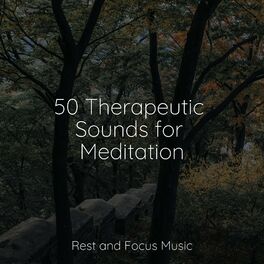 Album cover of 50 Therapeutic Sounds for Meditation