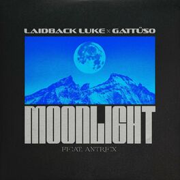 Album cover of Moonlight (feat. Antrex)