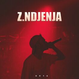 Album cover of Z. Ndjenja