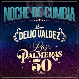 Album cover of Noche De Cumbia