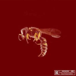 Album cover of Dingue (Remix)