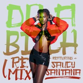 Album cover of Do A Bitch (Remix) [feat. Saucy Santana]
