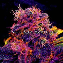Album cover of Tarte à la myrtille