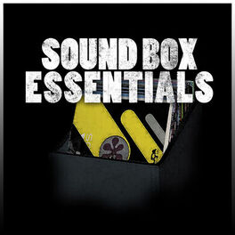 Album cover of Sound Box Essentials Platinum Edition