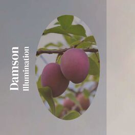 Album cover of Damson Illumination