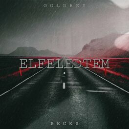 Album cover of ELFELEDTEM