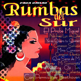 Album cover of Rumbas del Sur