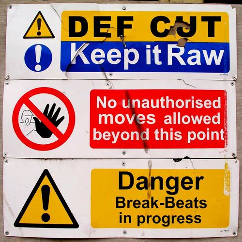 Def Cut - Keep it Raw 2009 (LP)