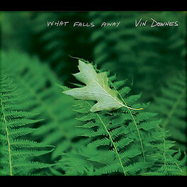 Album cover of What Falls Away