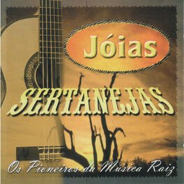 Album cover of Os Pioneiros da Música Raiz