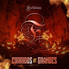 Album cover of Corridos de Grandes