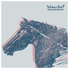 Album cover of Transfixion - EP