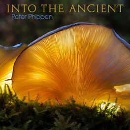 Album cover of Into the Ancient