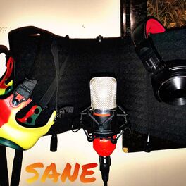 Album picture of Sane
