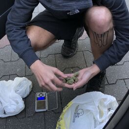 Album cover of Zwannis