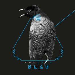 Album cover of Blau