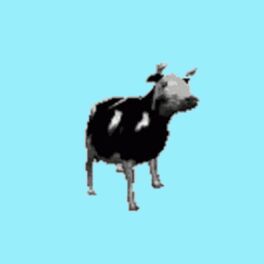 Album cover of Polish Cow