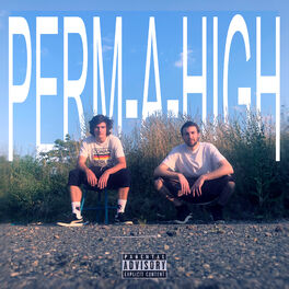 Album cover of Permahigh