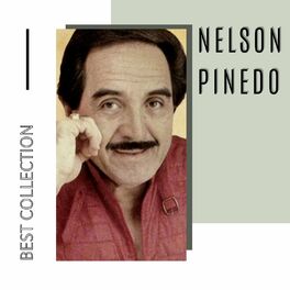 Album cover of Best Collection Nelson Pinedo