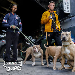 Album cover of Freestyle