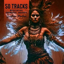 Album cover of 50 Tracks: Meditative Shamanic Journey – Sacred Drums & Relaxing Native American Flute