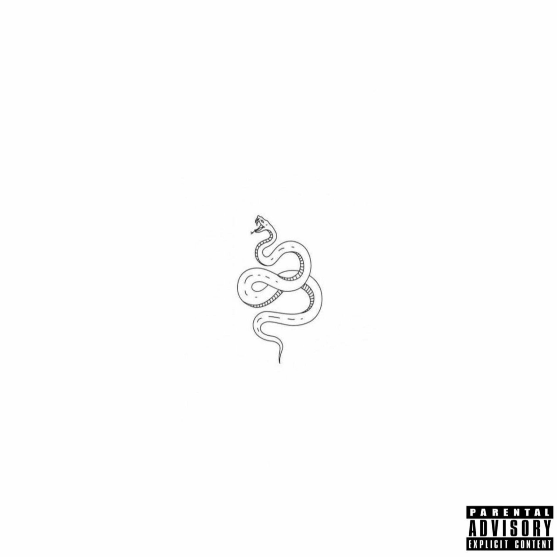 Shanin Blake - snake: lyrics and songs | Deezer