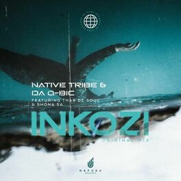 Album cover of Inkozi