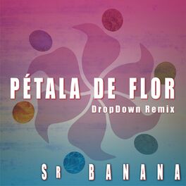 Album cover of Pétala de Flor (Dropdown Remix)