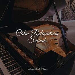 Album cover of Calm Relaxation Sounds