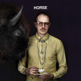 Album cover of Horse