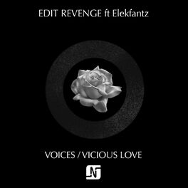 Album cover of Voices / Vicious Love