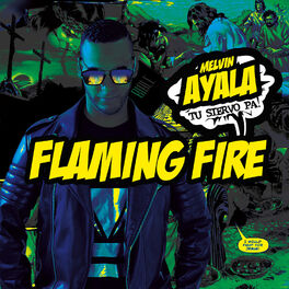 Album cover of Flaming Fire