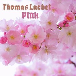 Album cover of Pink