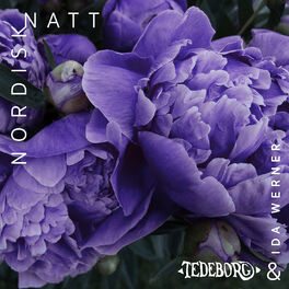 Album cover of Nordisk Natt