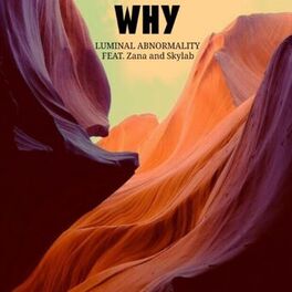 Album cover of WHY (feat. Zana & Skylab)