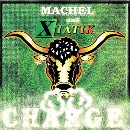 Album cover of Charge