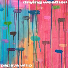 Album cover of Papaya Whip