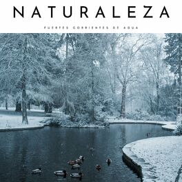 Album cover of Naturaleza: Fuertes Corrientes De Agua