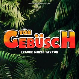 Album cover of Von Gebüsch EP