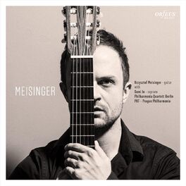 Album cover of Meisinger