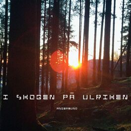 Album cover of I skogen på Ulriken