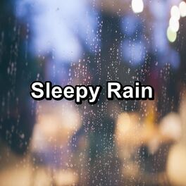 Album cover of Sleepy Rain