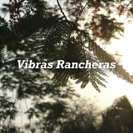 Album cover of Vibras Rancheras