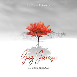 Album cover of Güz Yarası