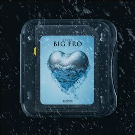 Album cover of BIG FRO