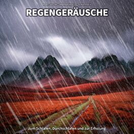 Album cover of * Regengeräusche zum Schlafen, Durchschlafen und zur Erholung