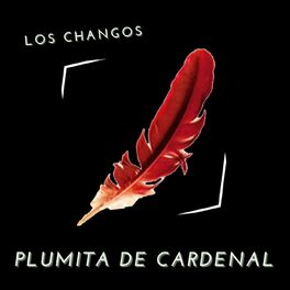Album cover of Plumita de Cardenal