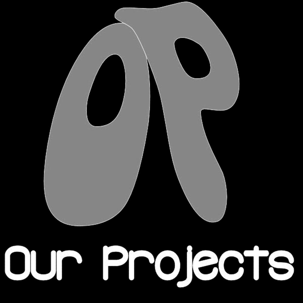 Our projects